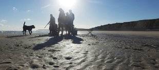 La Revue Nationale de La Chasse 863 Chasser sur les domaines publics maritime et fluvial