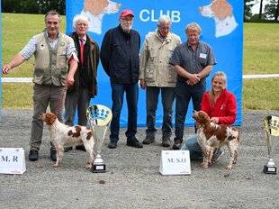 La Revue Nationale de La Chasse 864 L'épagneul breton sur ses terres !