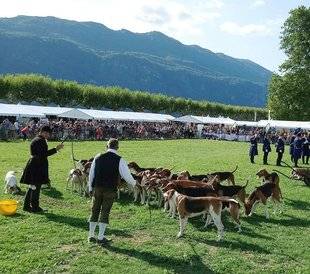 La Revue Nationale de La Chasse 864 Alpinus au sommet