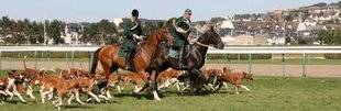 La Revue Nationale de La Chasse 864 Passion nature à Deauville