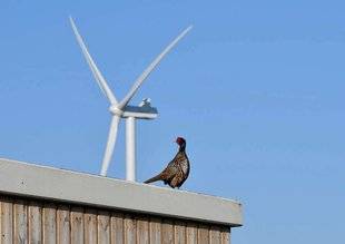 La Revue Nationale de La Chasse 865 Les éoliennes à bon vent ?