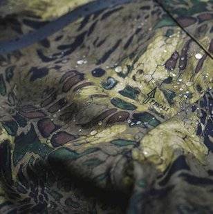 La Revue Nationale de La Chasse 865 Silence on tire