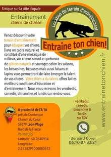 La Revue Nationale de La Chasse 865 Entraîne ton chien