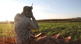 La Revue Nationale de La Chasse 865 Alouettes girondines : miroir, mon beau miroir.