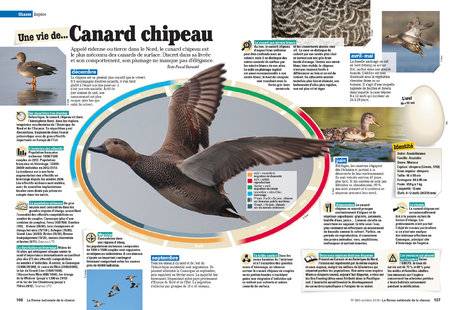 La Revue Nationale de La Chasse 865 Une vie de... Canard chipeau