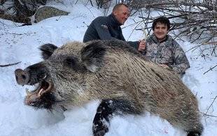 La Revue Nationale de La Chasse 865 Approches de grands vieux sangliers en montagne