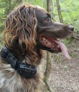 La Revue Nationale de La Chasse 865 Garmin Pro 550 Plus