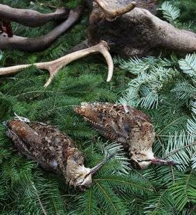 La Revue Nationale de La Chasse 866 Tirer la bécasse dans la traque