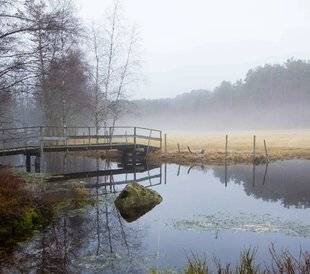 La Revue Nationale de La Chasse 866 Terres d'eau, terres d'avenir ?