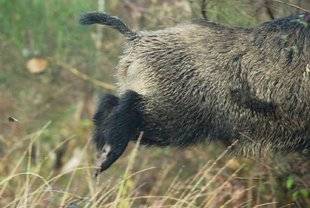 La Revue Nationale de La Chasse 867 La fin d'une époque