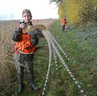 La Revue Nationale de La Chasse 867 Des vénérés au pied du sapin