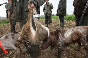 La Revue Nationale de La Chasse 867 Retour sur les différents marquages du gibier