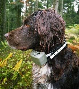 La Revue Nationale de La Chasse 867 Tracker G 1000 Maximal