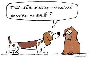 La Revue Nationale de La Chasse 867 Nos chiens de chasse face à la maladie de Carré (suite)