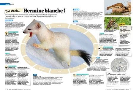 La Revue Nationale de La Chasse 868 Hermine blanche !