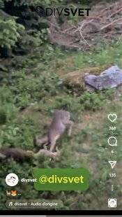 La Revue Nationale de La Chasse 923 Une lutte acharnée