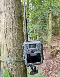 La Revue Nationale de La Chasse 923 Service sur mesure