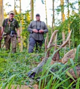 La Revue Nationale de La Chasse 923 Un brocard étoilé