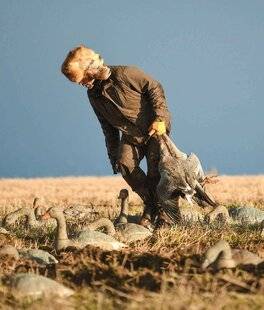 La Revue Nationale de La Chasse 923 Oies de haut vol dans l'Aberdeenshire