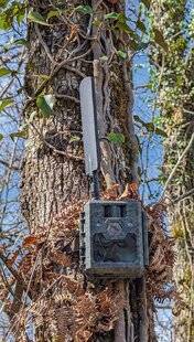 La Revue Nationale de La Chasse 932 Surveillance 2.0