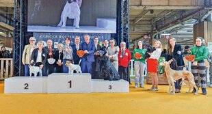 La Revue Nationale de La Chasse 932 Un jack russell terrier 1re place