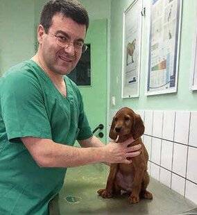 La Revue Nationale de La Chasse 932 L'incontinence chez le chien