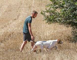 La Revue Nationale de La Chasse 932 Les erreurs à éviter quand on éduque son chien