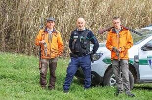 La Revue Nationale de La Chasse 933 L'écureuil de Pallas : quand l'envahisseur vient des cimes