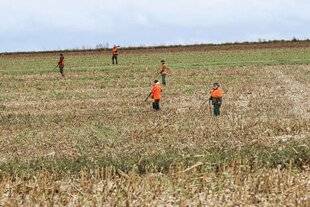 La Revue Nationale de La Chasse 933 Faut-il combattre les associations de protection de la nature sur leur terrain ?