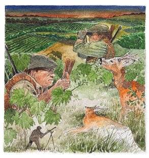 La Revue Nationale de La Chasse 933 Premier brocard de la saison