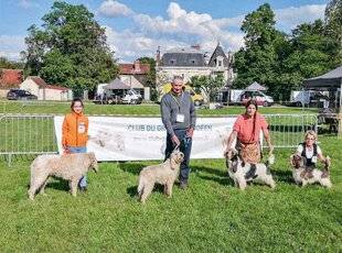 La Revue Nationale de La Chasse 933 Cinquantième rugissante