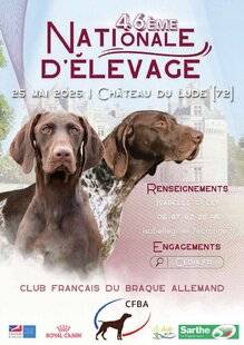 La Revue Nationale de La Chasse 933 Les braques de la Sarthe