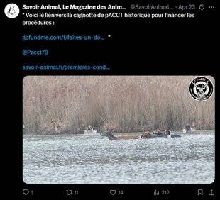 La Revue Nationale de La Chasse 934 Opposants à la chasse à courre condamnés