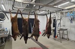 La Revue Nationale de La Chasse 934 Où en est-on ?