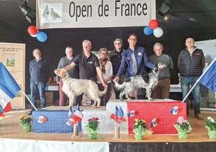 La Revue Nationale de La Chasse 934 Sommet dans la Somme