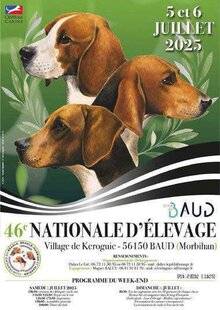 La Revue Nationale de La Chasse 934 Beagles et brunos