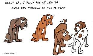 La Revue Nationale de La Chasse 934 Comment socialiser son chien avec ses congénères