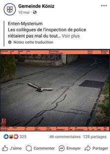 La Revue Nationale de La Chasse 935 Un colvert hors la loi