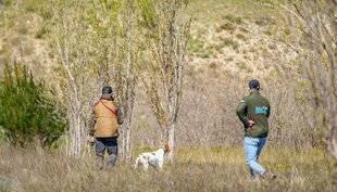 La Revue Nationale de La Chasse 935 Concours de chiens d'arrêt dans les Bouches-du-Rhône