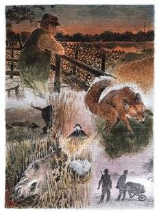 La Revue Nationale de La Chasse 935 Affût d'été sur les bords de la Seine