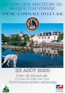La Revue Nationale de La Chasse 935 Au plaisir des braques d'Auvergne