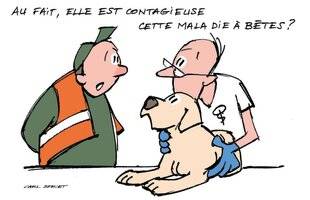 La Revue Nationale de La Chasse 935 Les dangers du diabète