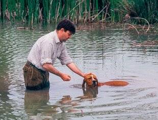 La Revue Nationale de La Chasse 935 Le travail à l'eau