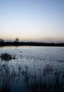 La Revue Nationale de La Chasse 935 Les tribulations d'un chasseur de canards