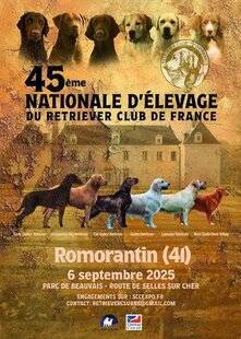 La Revue Nationale de La Chasse 936 Cap sur la Sologne