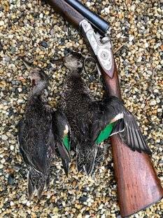 La Revue Nationale de La Chasse 936 LES BONNES PRATIQUES APRÈS LA CHASSE