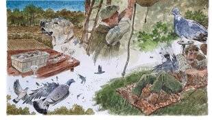 La Revue Nationale de La Chasse 936 Ouverture à Évecquemont