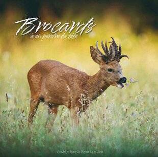 La Revue Nationale de La Chasse 936 BROCARDS À EN PERDRE LA TÊTE