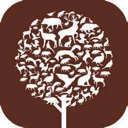 La Revue Nationale de La Chasse 937 En pratique
