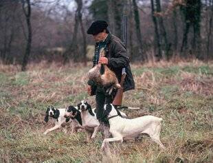 La Revue Nationale de La Chasse 937 LE LIÈVRE AUX COURANTS